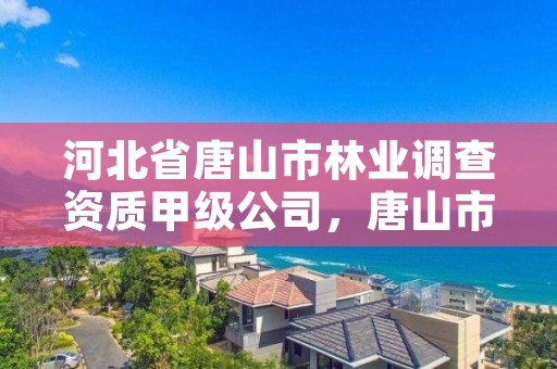 河北省唐山市林业调查资质甲级公司，唐山市林业和草原局