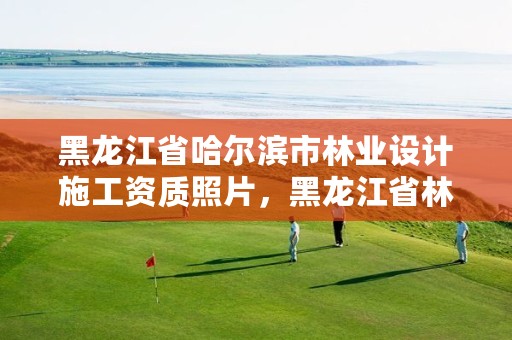 黑龙江省哈尔滨市林业设计施工资质照片,黑龙江省林业设计研究院是事业单位吗