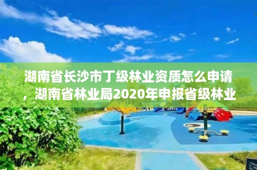 湖南省长沙市丁级林业资质怎么申请，湖南省林业局2020年申报省级林业龙头企业的通知