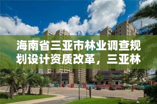 海南省三亚市林业调查规划设计资质改革,三亚林业局
