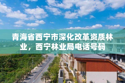 青海省西宁市深化改革资质林业,西宁林业局电话号码