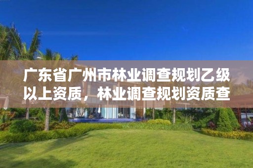 广东省广州市林业调查规划乙级以上资质，林业调查规划资质查询