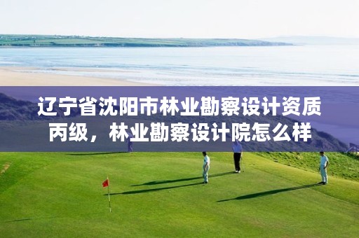 辽宁省沈阳市林业勘察设计资质丙级,林业勘察设计院怎么样