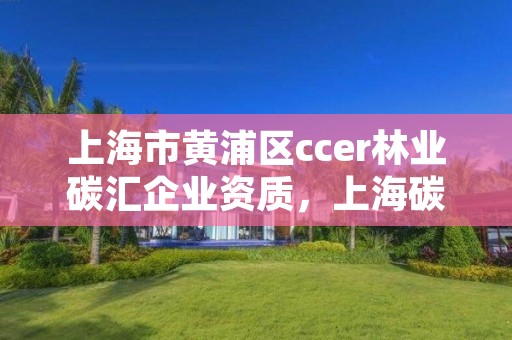上海市黄浦区ccer林业碳汇企业资质,上海碳汇造林项目