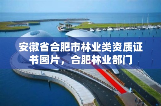 安徽省合肥市林业类资质证书图片,合肥林业部门