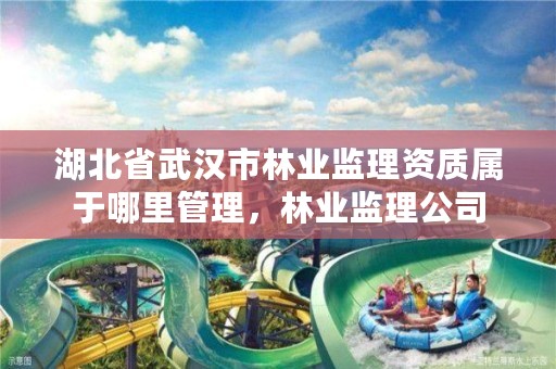 湖北省武汉市林业监理资质属于哪里管理，林业监理公司