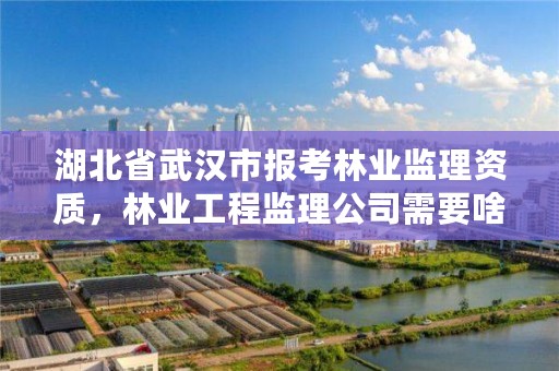 湖北省武汉市报考林业监理资质，林业工程监理公司需要啥证