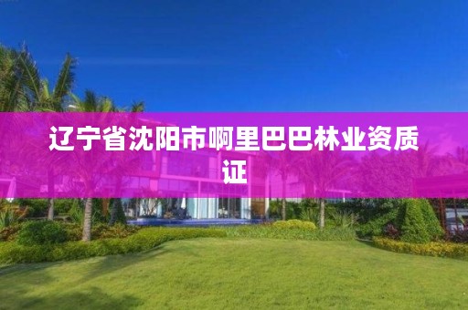 辽宁省沈阳市啊里巴巴林业资质证