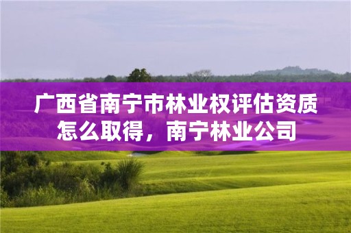 广西省南宁市林业权评估资质怎么取得,南宁林业公司