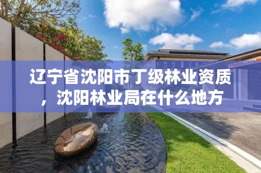 辽宁省沈阳市丁级林业资质,沈阳林业局在什么地方