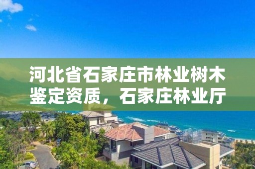 河北省石家庄市林业树木鉴定资质，石家庄林业厅