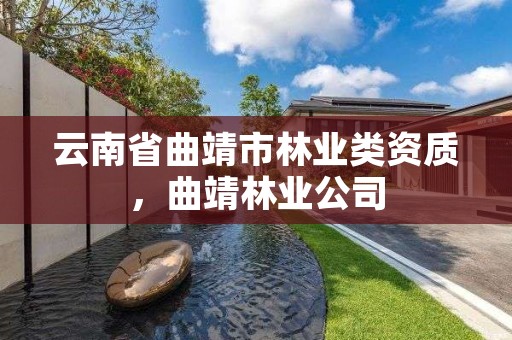 云南省曲靖市林业类资质,曲靖林业公司