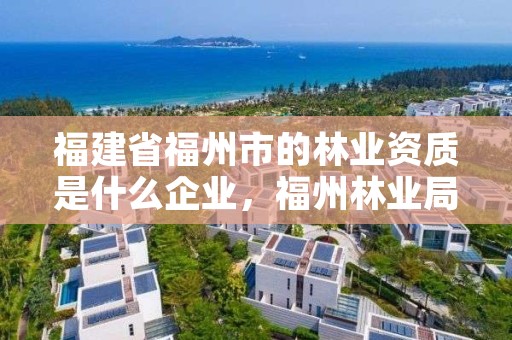 福建省福州市的林业资质是什么企业,福州林业局在哪里