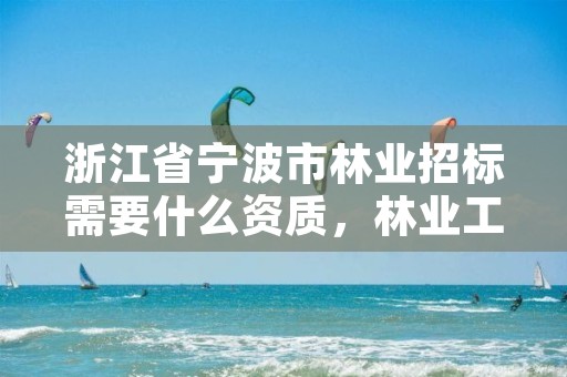 浙江省宁波市林业招标需要什么资质,林业工程招投标管理办法