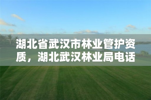 湖北省武汉市林业管护资质,湖北武汉林业局电话号码