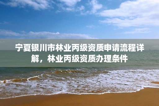 宁夏银川市林业丙级资质申请流程详解,林业丙级资质办理条件