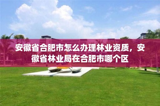 安徽省合肥市怎么办理林业资质,安徽省林业局在合肥市哪个区