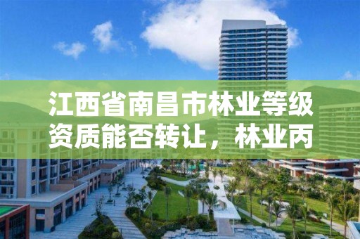 江西省南昌市林业等级资质能否转让,林业丙级资质转让