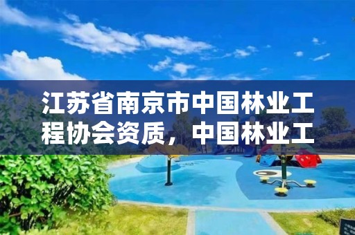 江苏省南京市中国林业工程协会资质,中国林业工业协会