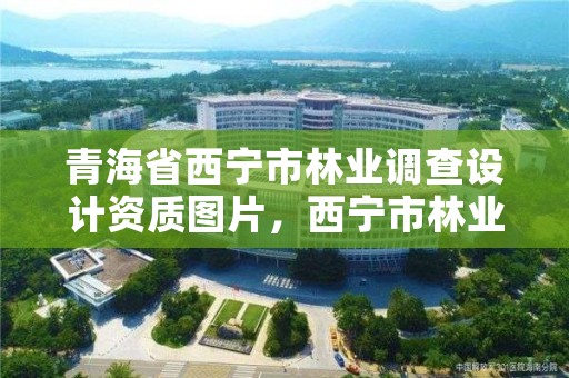 青海省西宁市林业调查设计资质图片,西宁市林业局招聘2020年