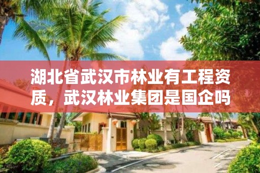 湖北省武汉市林业有工程资质，武汉林业集团是国企吗