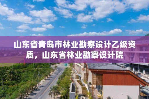 山东省青岛市林业勘察设计乙级资质,山东省林业勘察设计院