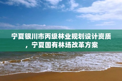 宁夏银川市丙级林业规划设计资质,宁夏国有林场改革方案