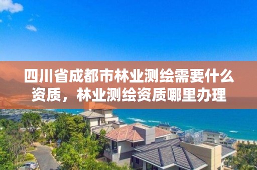 四川省成都市林业测绘需要什么资质,林业测绘资质哪里办理