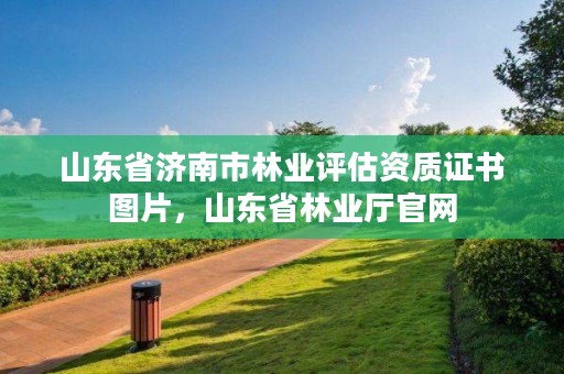 山东省济南市林业评估资质证书图片,山东省林业厅官网