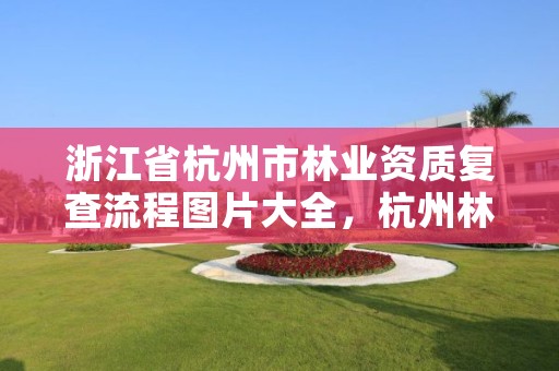 浙江省杭州市林业资质复查流程图片大全,杭州林业局电话号码