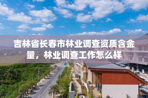 吉林省长春市林业调查资质含金量,林业调查工作怎么样