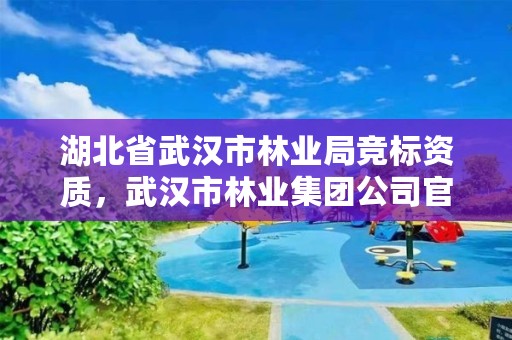 湖北省武汉市林业局竞标资质，武汉市林业集团公司官网