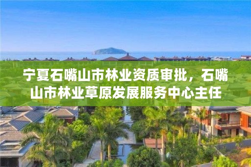 宁夏石嘴山市林业资质审批,石嘴山市林业草原发展服务中心主任