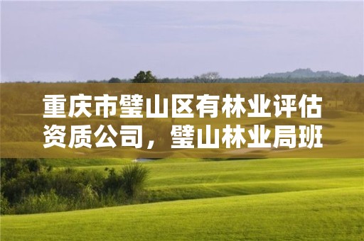 重庆市璧山区有林业评估资质公司,璧山林业局班子成员