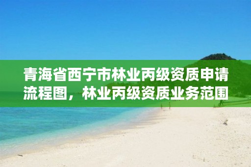 青海省西宁市林业丙级资质申请流程图，林业丙级资质业务范围
