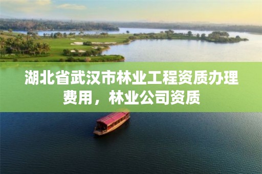 湖北省武汉市林业工程资质办理费用，林业公司资质