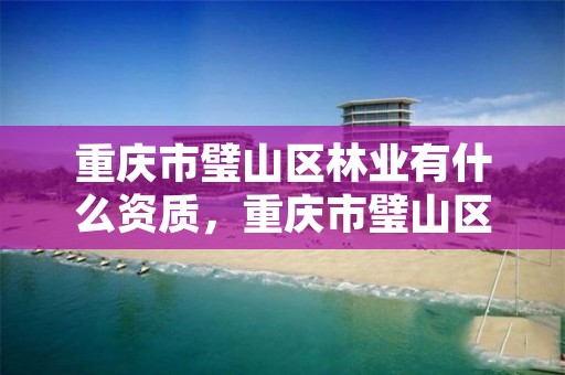 重庆市璧山区林业有什么资质,重庆市璧山区林业有什么资质企业