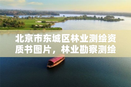 北京市东城区林业测绘资质书图片，林业勘察测绘资质
