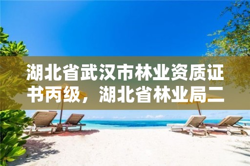 湖北省武汉市林业资质证书丙级，湖北省林业局二级单位