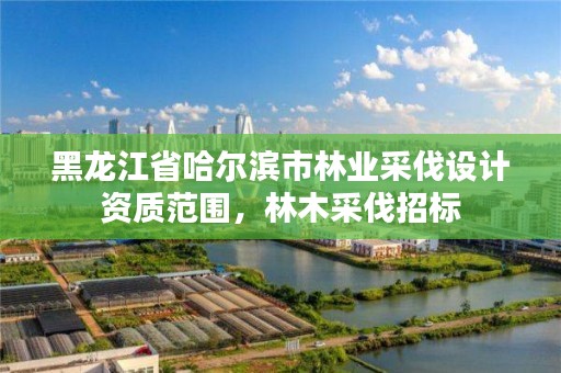 黑龙江省哈尔滨市林业采伐设计资质范围,林木采伐招标