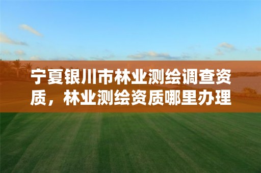 宁夏银川市林业测绘调查资质,林业测绘资质哪里办理