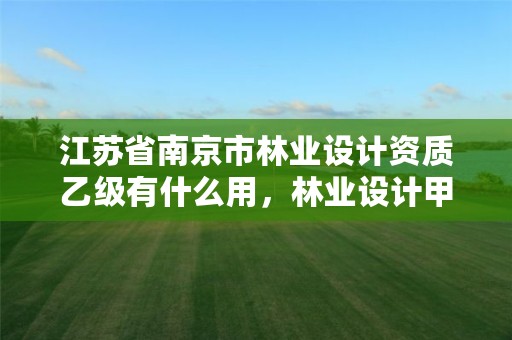 江苏省南京市林业设计资质乙级有什么用,林业设计甲级资质