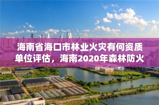 海南省海口市林业火灾有何资质单位评估,海南2020年森林防火工作方案