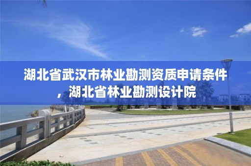 湖北省武汉市林业勘测资质申请条件，湖北省林业勘测设计院