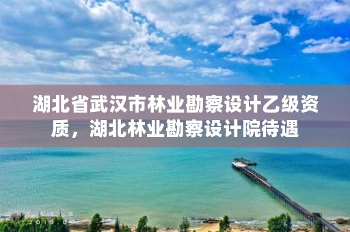 湖北省武汉市林业勘察设计乙级资质，湖北林业勘察设计院待遇