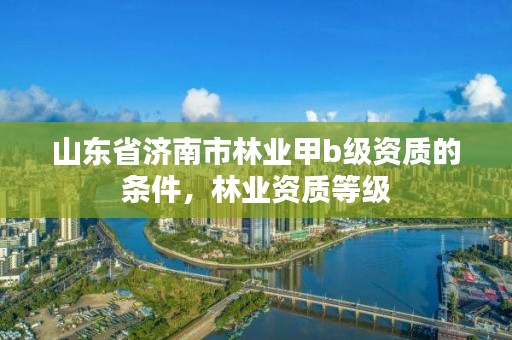 山东省济南市林业甲b级资质的条件,林业资质等级