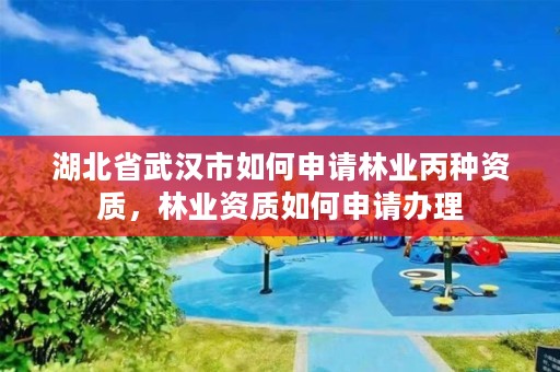湖北省武汉市如何申请林业丙种资质，林业资质如何申请办理