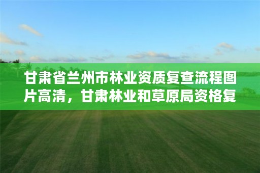 甘肃省兰州市林业资质复查流程图片高清,甘肃林业和草原局资格复审