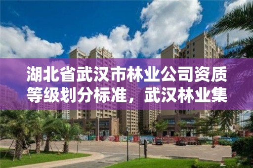 湖北省武汉市林业公司资质等级划分标准，武汉林业集团地址