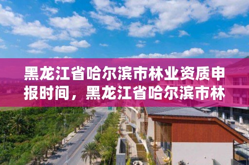 黑龙江省哈尔滨市林业资质申报时间,黑龙江省哈尔滨市林业局官网